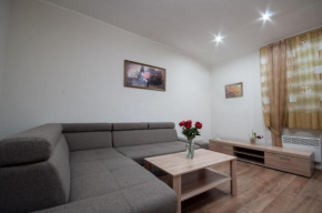 Wonderful flat on city center (Mukachivska 4/19)